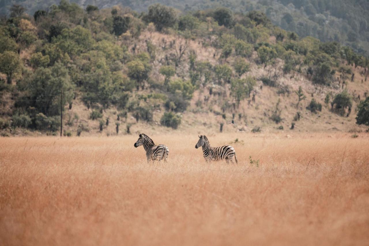 Dawsons Game Lodge Badplaas Dış mekan fotoğraf